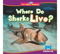 Where Do Sharks Live? (All about Sharks)