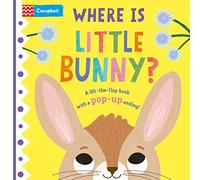 Where is Little Bunny?: The lift-the-flap book with a pop-up ending!