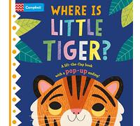 Where is Little Tiger?: The lift-the-flap book with a pop-up ending!: 2