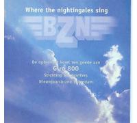 Where the nightingales sing / TV Medley (Single-CD, Cardsleeve, 2 tracks)