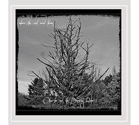 Where the Real Wind Blows