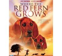 Where The Red Fern Grows (DVD) Beverly Garland Jack Ging (Importación USA)