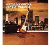 Various - While My Guitar Gently Weeps 2