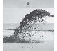 WHILE YOU ARE THERE (2LP)