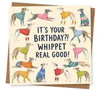 Whippet - Tarjeta de cumpleaños para los amantes de los perros, con texto en inglés "It's Your Birthday?! Whippet Real Good!", divertido perro ilustrado