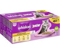 WHISKAS Junior Festín de pollo en gelatina - comida húmeda para gatos - 40 x 85 g