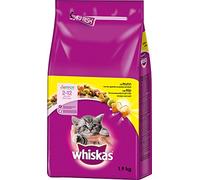 Whiskas, Comida Seca para Gatos, junior de 2 a 12 meses, pack de 6