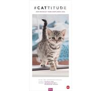 Whiskas Familienplaner 2026: Praktischer Kalender für Familien mit Katzenfotos zum Dahinschmelzen. Terminkalender für die Wand mit 5 Spalten und viel Raum für Planung. Familienkalender