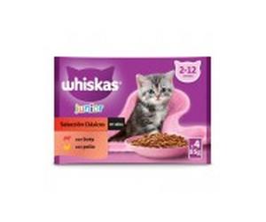 Whiskas húmedo gato junior selección carnes clásica 4x85 gr