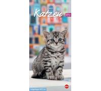 Whiskas Katzenleben Kalender 2027: Süße Kätzchen in allen Lebenslagen in einem Wandkalender zum Eintragen. Immer den Überblick über alle Termine mit dem praktischen Streifenkalender.