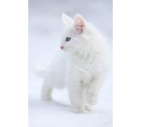 Whiskers & Wonders: Aesthetic White Cat Notebook for Dreamers, Planners & Cat Lovers - 200 Pages of Pure Purrfection: 200 Lined Pages for Notes, Ideas, School, Work & Gifting