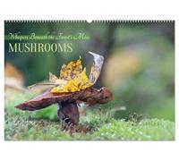 Whispers Beneath the Forest's Moss Mushrooms (Wall Calendar 2026 DIN A2 landscape), CALVENDO 12 Month Wall Calendar: Mystic and mysterious life of mushrooms in the forest