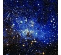 Whispers in the dark