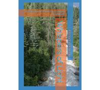 Whispers of Light: A Reflection in Nature on a Journey of Gratitude