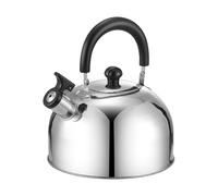 Whistling Tea Kettle for Stove Top, Stainless Steel Teapot with Loud Whistle for Boiling Water, Compact Water Kettle for Camping Home Fishing Backpacking Outdoor Cooking