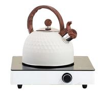 Whistling Tea Kettle, Stainless Steel Teapot, 2.5L Water Boiler, Rubber-Wrapped Handle, Loud Whistle Alert, Fast Heating Base, Sl esign, Perfect for Home, Bar,
