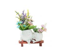 White; 18.2*10.9*12 Succulent Smiling Face Small Flower Pot, Garden Craft Decora 25-26