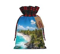 White Beach - 1 bolsa de Navidad con cordón de 8.3 x 11.8 pulgadas, bolsa robusta para regalos y artículos esenciales de uso diario