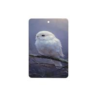 White Bird Forest - Ambientadores para coche, 4 unidades, tarjetas perfumadas colgantes, tarjetas perfumadas para coche, tabletas de aromaterapia