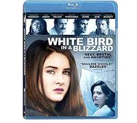 White Bird in a Blizzard