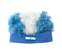 White Blue | Argentina Flag Wigs Fan | Fan Football Fan Short Curly Party Headdress for Football, Sports Event, Christmas Carnival