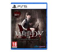 White Day: A Labyrinth Named School