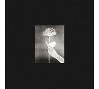 White Flowers - Day By Day