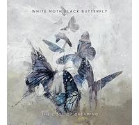 White Moth Black Butterfly - The Cost Of Dreaming