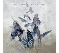 White Moth Black Butterfly The Cost of Dreaming (CD) (Importación USA)