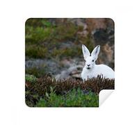 White Rabbits Science Nature - Juego de 2 gafas de limpieza para limpiar la pantalla del teléfono y gamuza