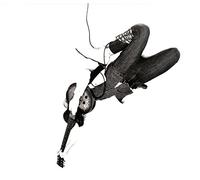 White Reaper - The World's Best American Band