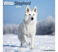 White Shepherd Calendar 2025 Square Dog Breed Wall Calendar - 16 Month