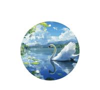 White Swan on the Lake - Ambientador para coche, difusor de fragancia colgante con aroma duradero para coches, hogares y más, juego de 4 piezas