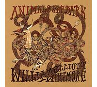 William Elliot Whitmore – Animals in the Dark