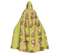 WHJDPP Funny koalas - Capa con capucha para adultos con estampado de koalas - Capa con capucha súper grande sin cremallera