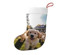 Whjdpp Golden Retriever Puppies - Calcetines de Navidad impresos de doble cara para decoración de interiores y fiestas de gran capacidad