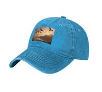 WHJDPP Gorra de béisbol negra para adultos, diseño de migración de pájaros, para hombres y mujeres, uso deportivo y de viaje, Azul, talla nica