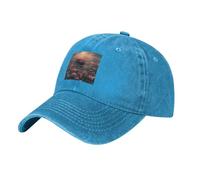 WHJDPP Gorra de béisbol negra para adultos, hermoso mar de rosas impreso, para hombres y mujeres, uso deportivo de viaje, Azul, talla nica
