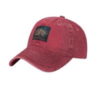 WHJDPP Gorra de béisbol negra para adultos, un pequeño árbol lleno de cuerdas de luces impresa para hombres y mujeres, uso deportivo de viaje, Rojo, talla nica