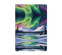 WHJDPP Preciosa pintura decorativa de hojalata impresa con luces del norte, 20,3 x 30,5 cm, hecha de hojalata, resistente al desgaste y duradera