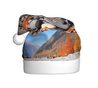 WHJDPP Sombrero de Navidad con imagen de guijarros coloridos para adultos, para Navidad, Halloween, Año Nuevo, ventas, promociones