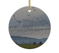 WHJSHOP Árbol de Navidad redondo de cerámica con diseño de pájaros migratorios volando al sur, 7,4 cm, añade ambiente a la fiesta navideña