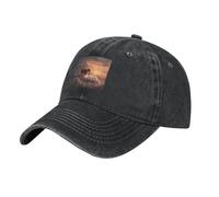 WHJSHOP Gorra de béisbol de mezclilla lavada clásica negra con estampado de elefante en una nube, gorra de algodón ajustable para hombres y mujeres, Negro, talla única
