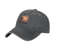 WHJSHOP Gorra de béisbol de mezclilla lavada clásica negra con estampado de elefante en una nube, gorra de algodón ajustable para hombres y mujeres, Deep Heather, talla única