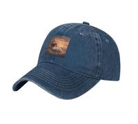 WHJSHOP Gorra de béisbol negra para adultos, diseño de elefante en una nube para hombres y mujeres, cómoda y ajustable, Azul marino, talla única