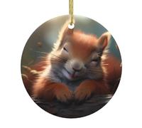 WHJSHOP Little Squirrel in a Dream Pattern Christmas Ceramic Decoration Circular Interior Decoration Gift -7.4 cm