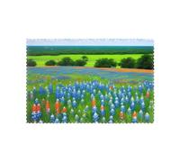 WHJSHOP Texas Bluebonnets Scenery - Mantel individual duradero, impermeable, fácil de limpiar, resistente al calor, antideslizante