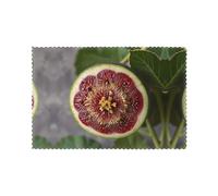 WHJSHOP The Sweetness of figs Printing - Juego de 6 manteles individuales domésticos a prueba de aceite, aislantes del calor y duraderos, 12 x 18 pulgadas