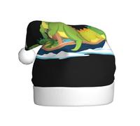 WHJSSF Dinosaurios en el barco con impresión de sombreros de Navidad de felpa para hombres y mujeres, gorras de fiesta de Año Nuevo para adultos