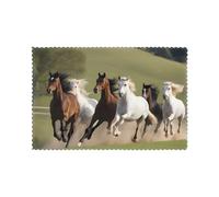 WHJSSF Juego de 6 manteles individuales con diseño de caballos al galope para mesa de comedor, para hoteles, hogares y banquetes, como decoración de mesa, hermosos y duraderos